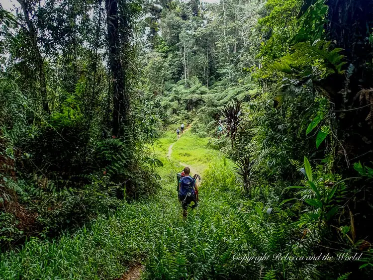 What to Expect When you Trek the Kokoda Track Rebecca and the World
