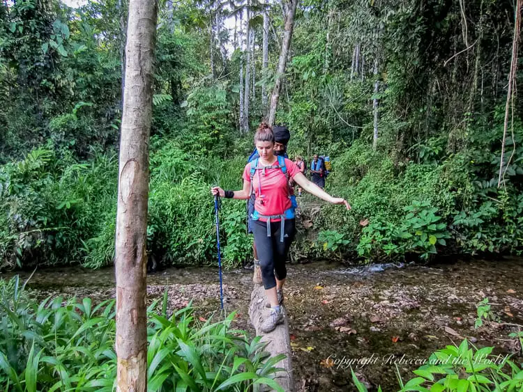 A hiker - the author of this article - balancing on a narrow log bridge over a small stream, surrounded by dense jungle. Another hiker follows behind, both using trekking poles for stability.