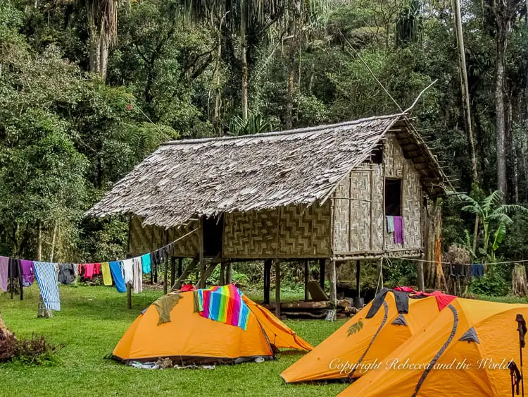 A campsite with several orange tents pitched on a grassy area next to a traditional thatched-roof hut. Colorful clothes are hanging on a line to dry, and the site is surrounded by lush forest.