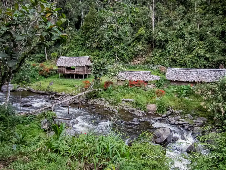 A picturesque village scene with traditional thatched-roof huts built on stilts along the banks of a flowing river. The surrounding area is lush with greenery and vibrant flowers, creating a serene and idyllic setting.