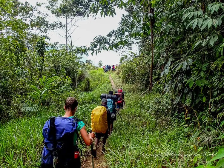 Hikers walking along a narrow trail through thick jungle vegetation, with backpacks and trekking poles. The trail leads uphill, and the group is spaced out, making their way towards the summit.