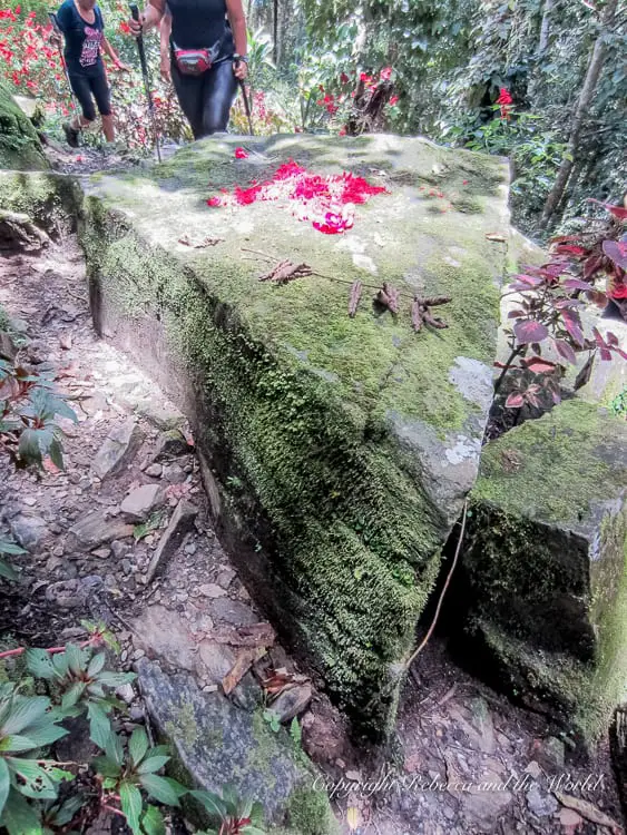 A large moss-covered boulder on a jungle trail, adorned with a scattering of red flower petals. Two hikers are visible in the background, walking along the path. This is Surgeon's Rock on the Kokoda Track.