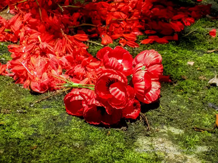 A close-up of bright red artificial poppies placed on a mossy rock, likely as a tribute or memorial. The vibrant flowers contrast with the green moss.