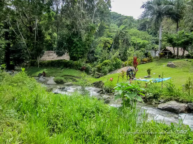 A scenic view of a lush, green garden with a small stream running through it. A person is seen tending to the garden, and traditional huts are visible in the background amidst dense vegetation.