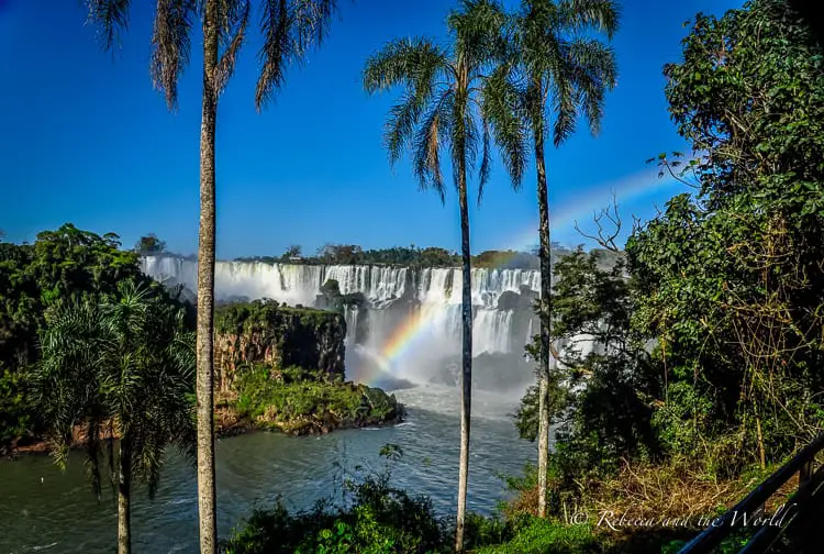 A panoramic view of Iguazu Falls with lush greenery in the foreground. Tall palm trees frame the scene and a vivid rainbow arcs across the mist of the cascading water.