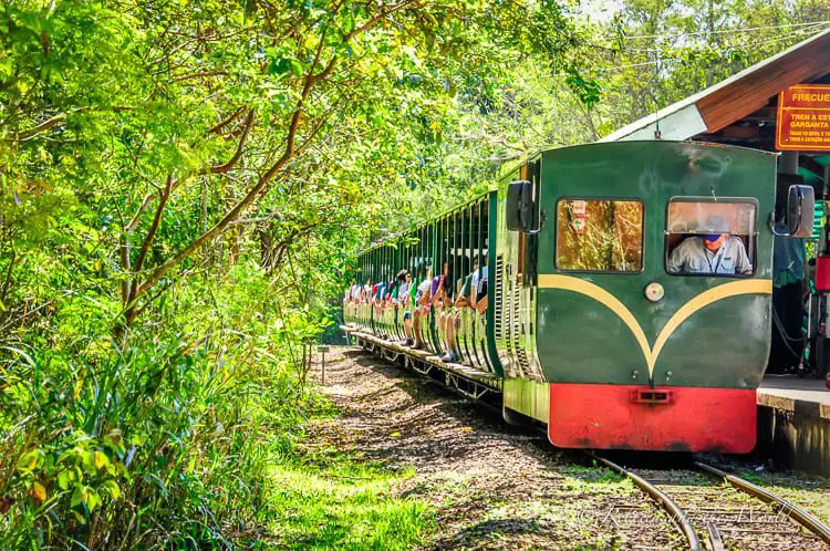 A green and red tourist train carrying passengers through the verdant tropical forest at Iguazu Falls in Argentina, with trees and shrubs lining the railway track.