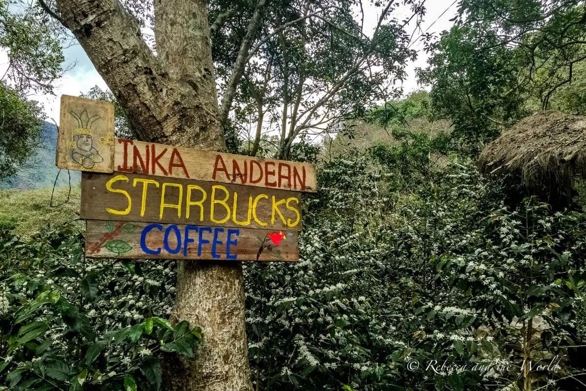 You really can find Starbucks everywhere...