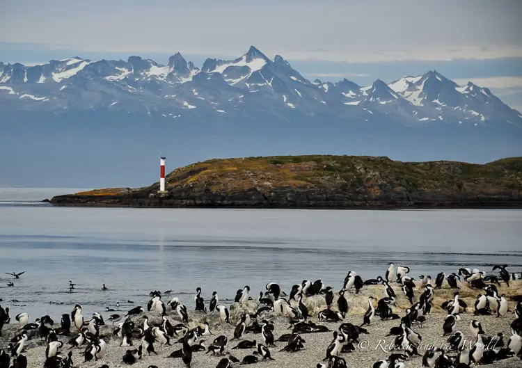 At the very southern tip of Argentina lies Ushuaia - the southernmost city in the world. There are so many things to do in Ushuaia, from hiking to camping to walking with penguins. Read on for the best things to do as well as when to go and where to stay. | #ushuaia #argentina #patagonia #argentinatravel #travel #travelguide #patagoniatravel #tierradelfuego #southamerica
