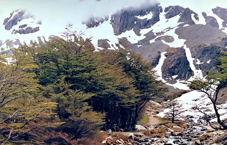 A thickly forested area with a partially snow-covered mountain in the background and a rocky stream in the foreground. This is Martial Glacier one of the highlights of Ushuaia.