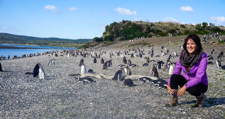 A woman in a purple jacket smiling at the camera, crouching on a pebble-covered beach with numerous penguins in the background.