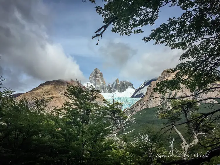 The iconic Mount Fitz Roy peeks through the canopy of a dense forest, with a branch hanging into the frame, offering a unique perspective of the famous peak shrouded by clouds.