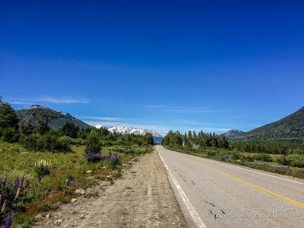 The views along the Ruta de los Siete Lagos in Argentina are spectacular - the road stretches into the distance toward snow-capped mountains