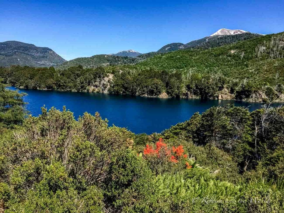 A vibrant landscape featuring a deep blue lake, surrounded by dense forests with a smattering of red-orange trees and backed by mountains under a clear blue sky. The Ruta de los 7 Lagos - or Road of the Seven Lakes - in Argentina is a spectacular road trip.