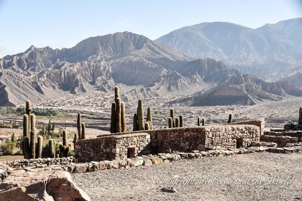 Overlooking view of a semi-arid landscape with a stone wall in the foreground and towering cacti, with rugged mountains under a clear sky in the background. In Tilcara in the north of Argentina, visit the pre-Incan fort of Pucara.