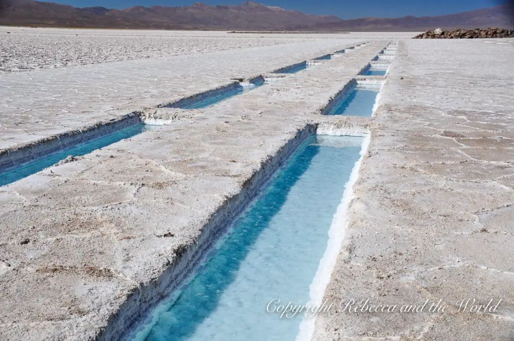 A perspective of salt flats in North Argentina, showing a grid of shallow rectangular pools filled with clear blue brine water, with a vast white salt crust extending to the horizon. Visit the Salinas Grandes in northwest Argentina - the second-largest salt pan in the world.