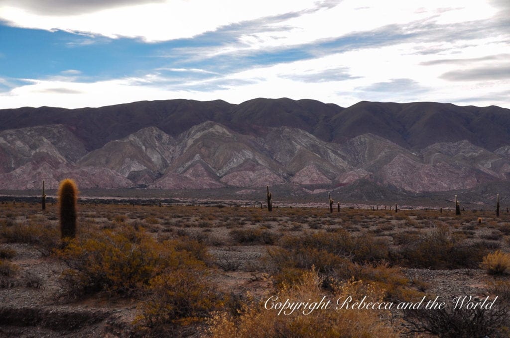 Scenic view of the arid landscape of North Argentina with sparse vegetation, cacti, and a mountain range in the background under a cloudy sky.