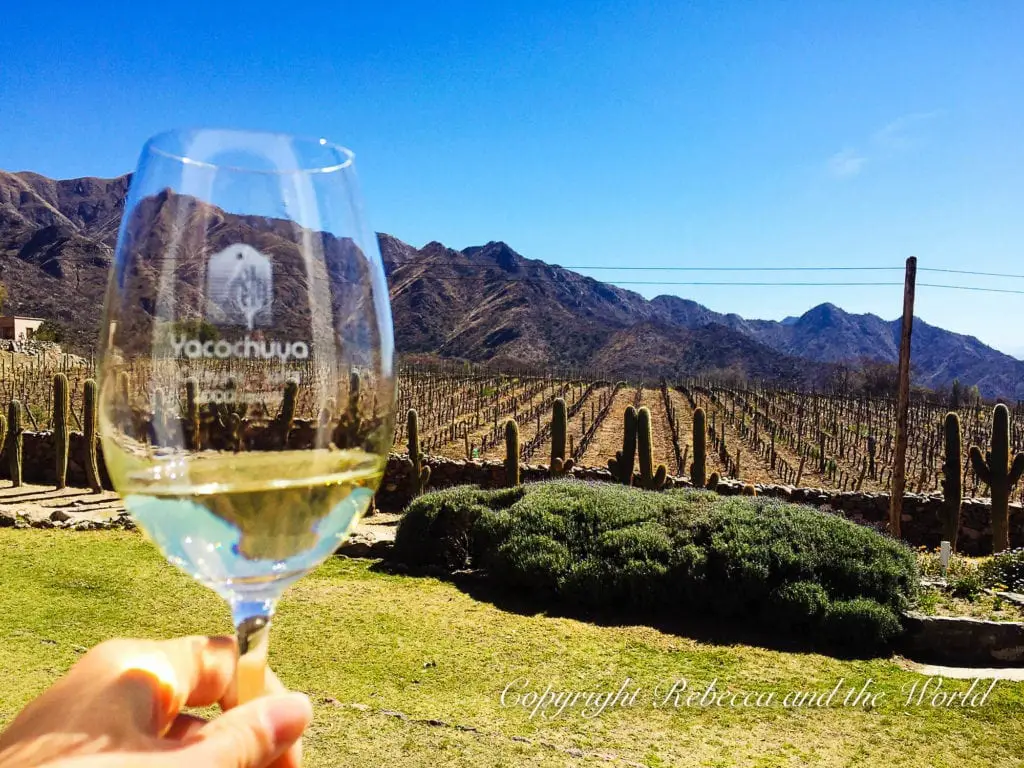 A hand holding a wine glass filled with white wine, with a vineyard filled with rows of grapevines and cactus plants set against a backdrop of mountains under a clear blue sky. The wineries in Cafayate, Argentina, are in some beautiful locations.