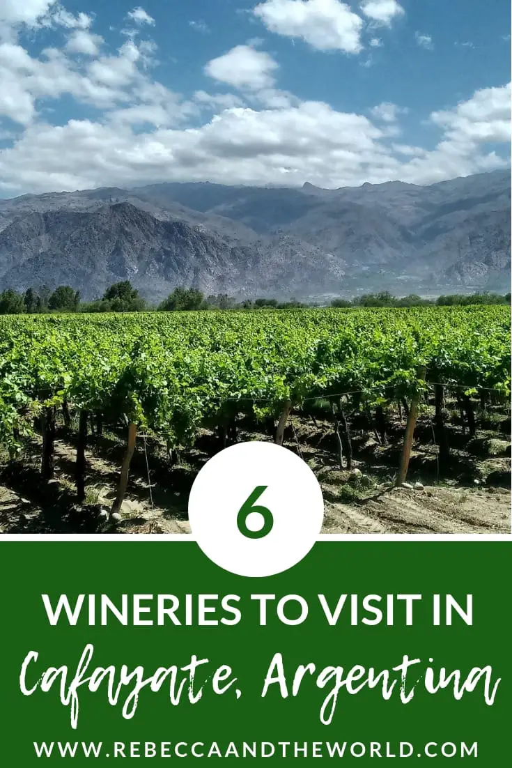 Cafayate is Argentina's best-kept wine secret. Home of the delicious Torrontes wine, you can spend a few days exploring Cafayate's wineries by bike or car. | #argentina #cafayate #salta #northargentina #wine #argentinewine #argentinawineries #torrontes