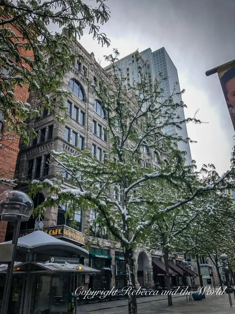 An urban street with buildings and a leafy tree covered in snow. Denver in winter is a pretty time to visit the city, with snow blanketing the city streets.