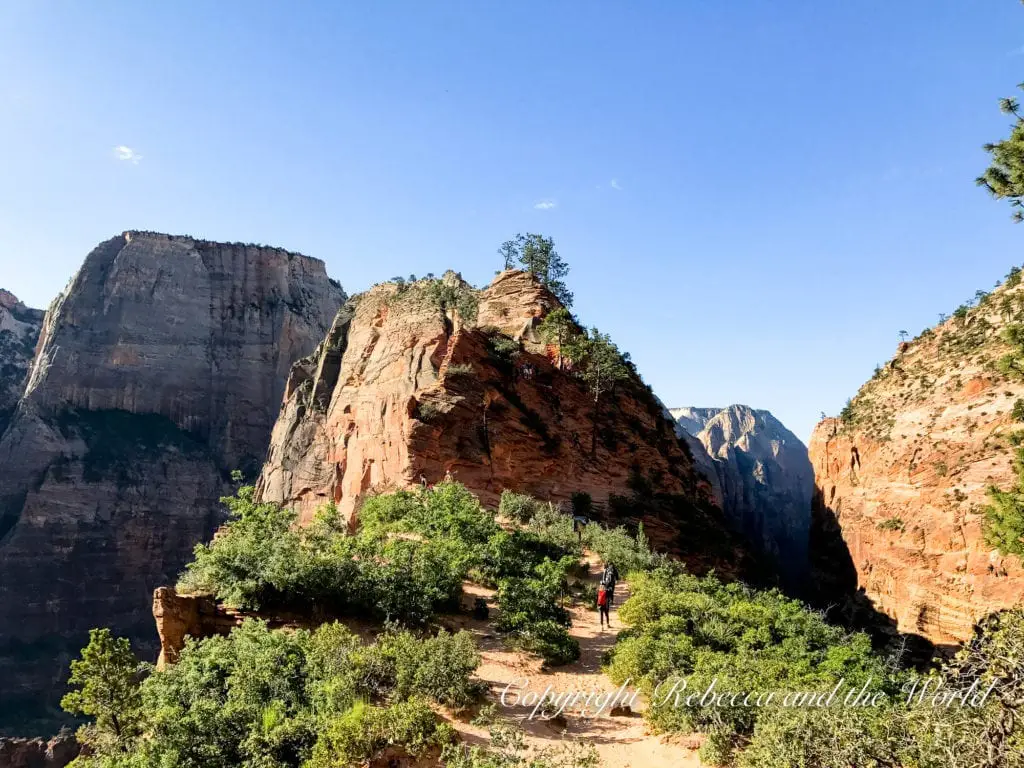 A trail on a red rock ridge with steep cliffs on either side, under a clear blue sky. A person in a red top is visible in the distance, providing scale to the vast landscape. This is the view up to Angel's Landing in Zion National Park in Utah.
