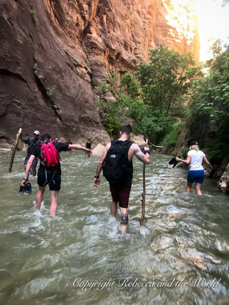 A group of hikers wading through a river in a canyon, supporting each other against the current. They are surrounded by tall, narrow canyon walls. This is The Narrows hiking trail in Zion National Park in Utah.
