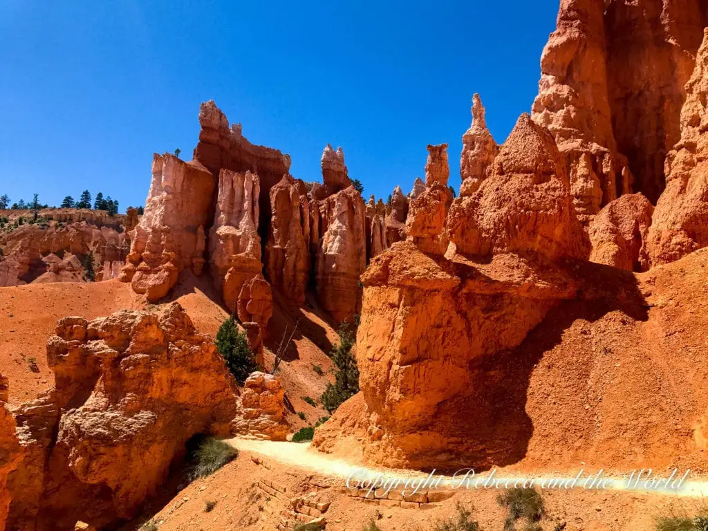 A view of hoodoo formations in Bryce Canyon under a clear sky, showcasing a variety of red and orange colours with trees at the base of the formations.