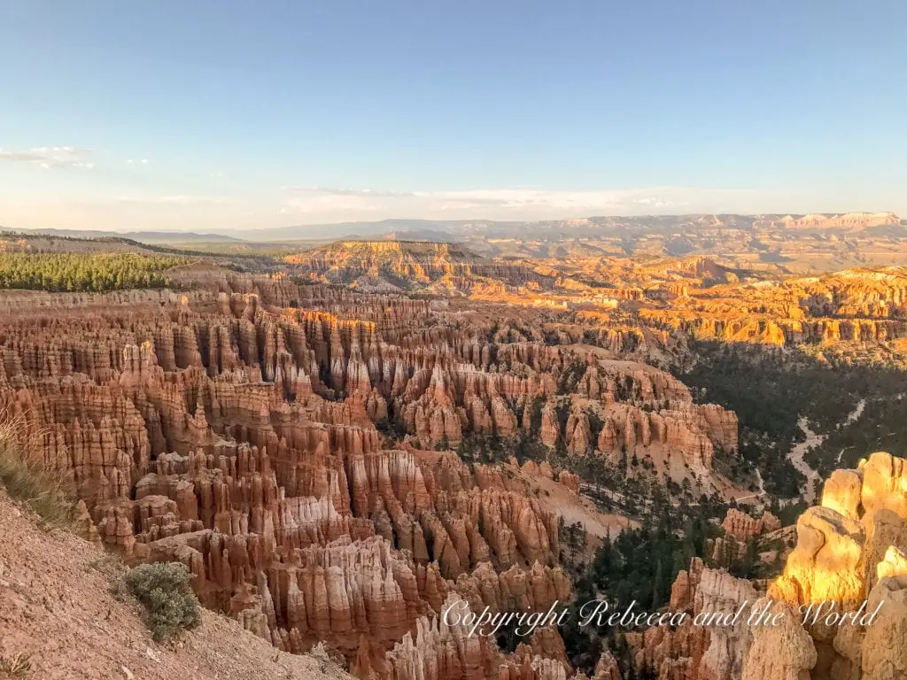 A view taken during golden hour, highlighting the orange and golden hues of the intricate rock formations of Bryce Canyon, with a vast forested landscape extending into the distance.