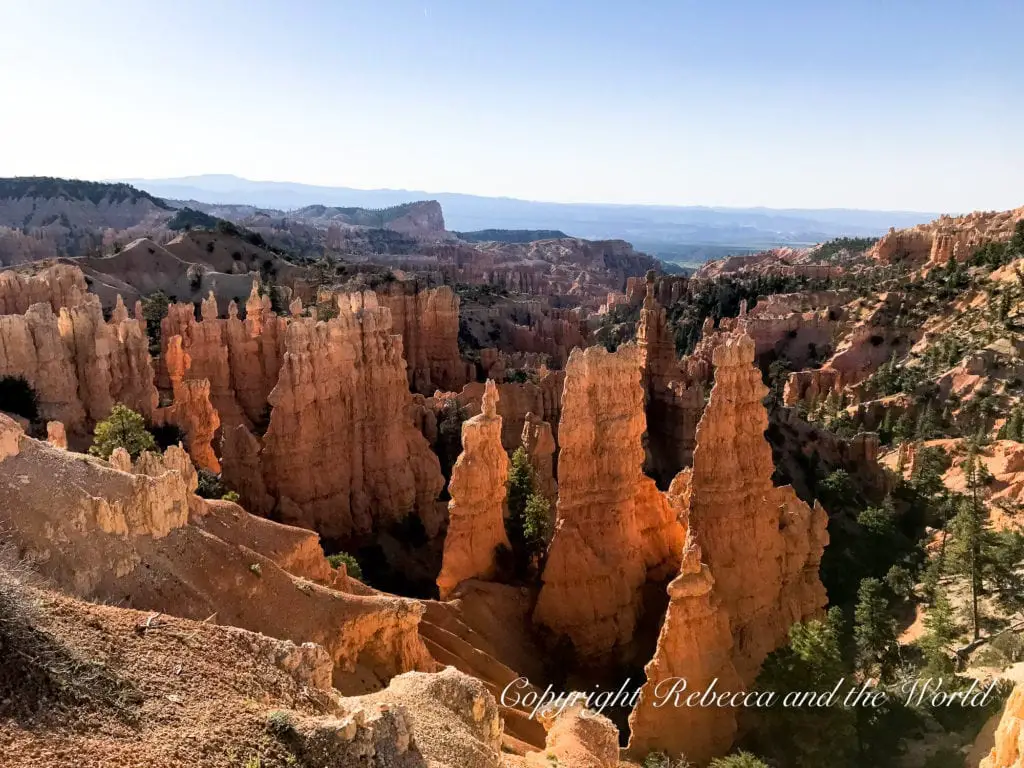 Looking down in to Bryce Canyon National Park shows orange hoodoos pointing up