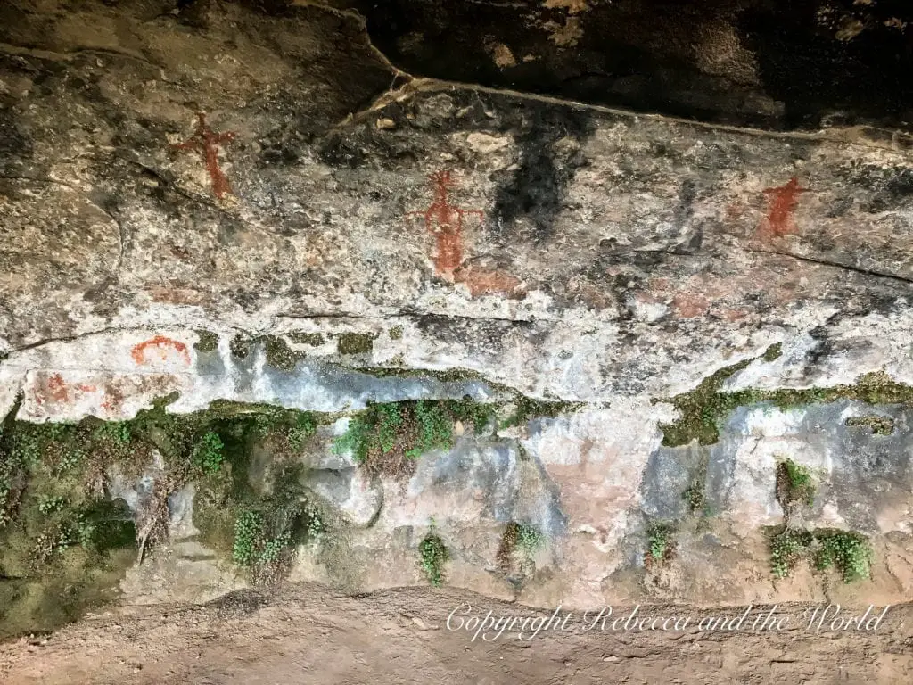 Close-up of ancient rock art on a canyon wall in Canyonlands National Park in Utah, featuring faded pictographs in red and white pigments, with small green plants growing on the rock surface.