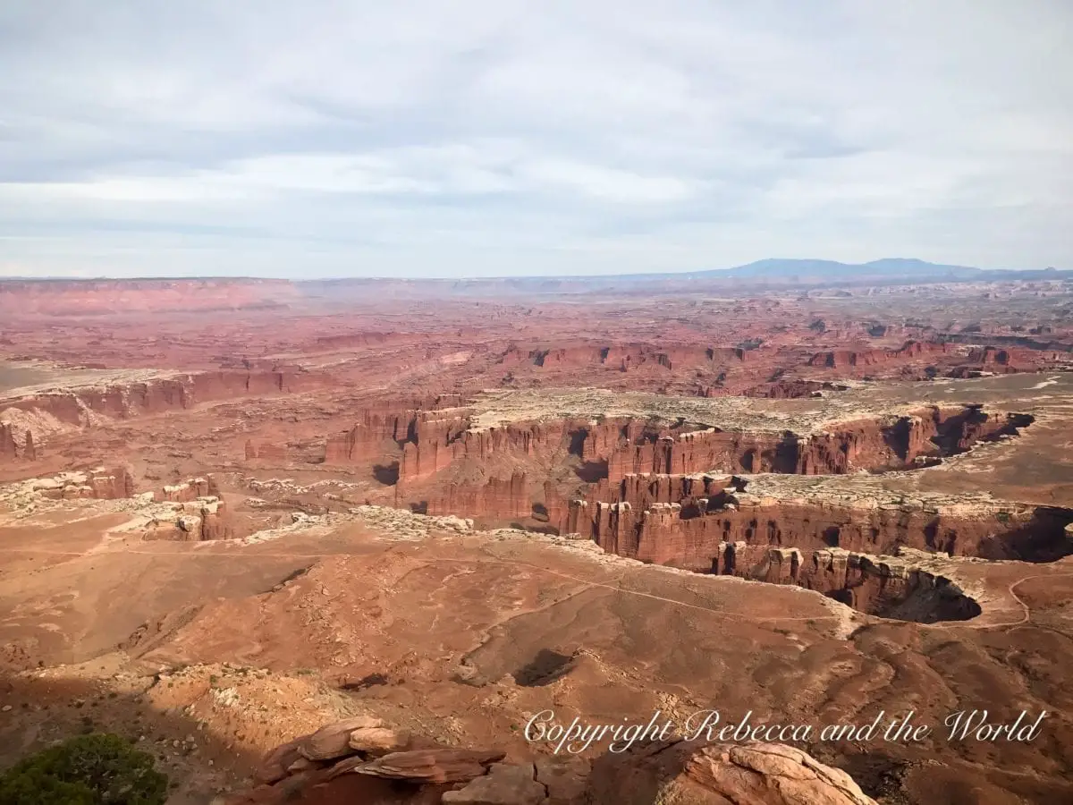 Island in the Sky is a part of Canyonlands National Park and reminds me of a dinosaur footprint