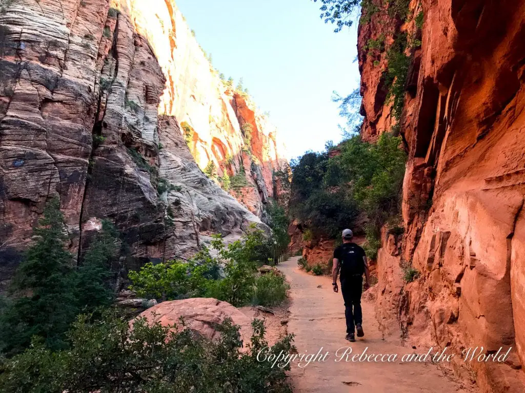 A person wearing a black outfit and cap is walking away from the camera on a narrow dirt trail alongside a steep, red rock wall with greenery, under a bright blue sky. This photo was taken in Zion National Park, one of Utah's Mighty 5 national parks.