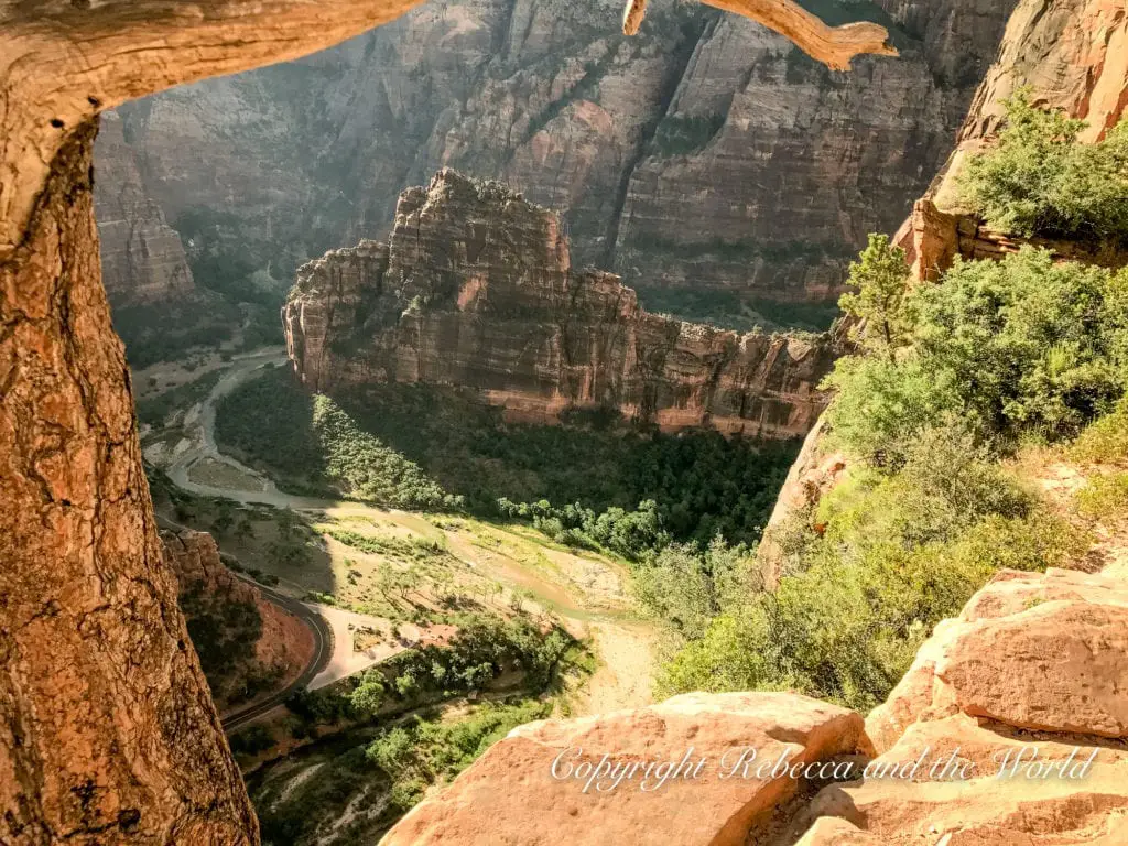 A breathtaking view of Angel's Landing in Zion National Park through a natural arch showing a canyon below with a winding road, surrounded by red rock formations and green foliage, under a soft light.
