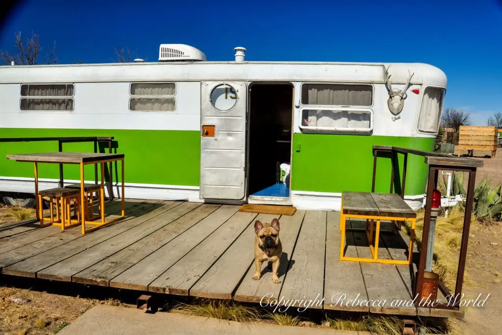 A vintage green and white travel trailer with a small wooden porch and a friendly dog - the author's French Bulldog -sitting in front, epitomising quirky lodging options in Marfa.