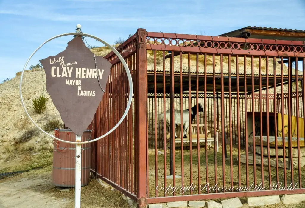 A quirky signpost for "World Famous CLAY HENRY Mayor of Lajitas" attached to a circular frame, with a goat visible behind a rusted metal fence.