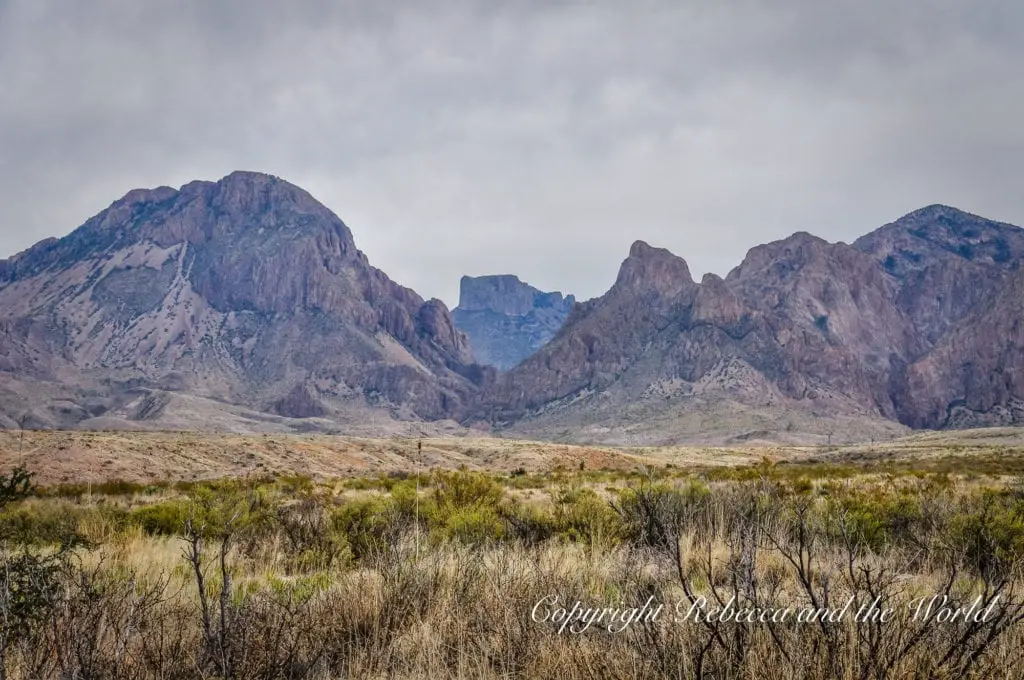 Majestic mountain peaks with a dramatic, cloud-filled sky in the background and a foreground of desert shrubbery. Big Bend National Park is a must-visit on a West Texas road trip.