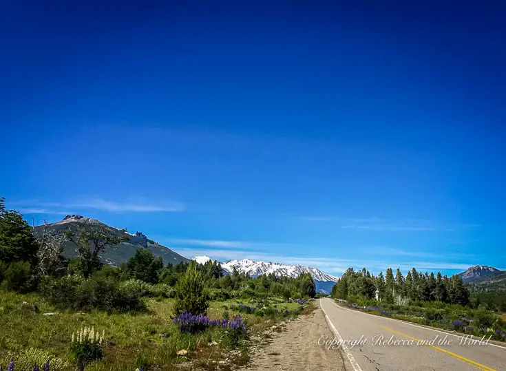 argentina tourist places list As the second largest country in South America, there are so many things to do in Argentina. Check out this list of 15 of the best Argentina tourist attractions. From walking on a glacier to tasting delicious wines to experiencing Oktoberfest, there's something for everyone in Argentina. | #Argentina #southamerica #buenosaires #salta #peritomorenoglacier #wine #steak #whattodoinargentina #argentinatravel #argentinaitinerary #argentinavacation