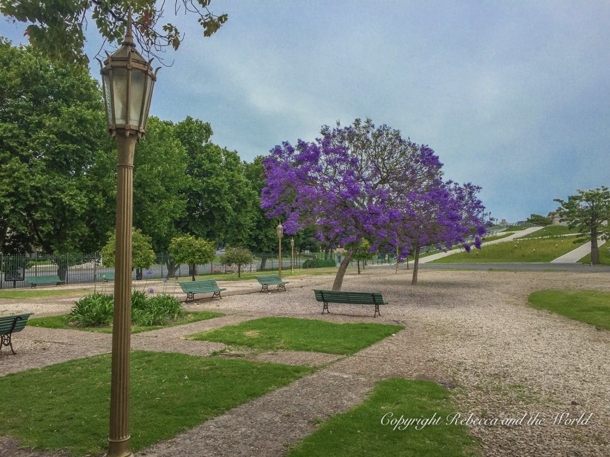 An outdoor scene in a park in Buenos Aires with several pathways intersecting on gravel ground. A prominent purple-flowered jacaranda tree stands out amongst greenery. Vintage-style lamp posts and park benches are visible. The sky is overcast.