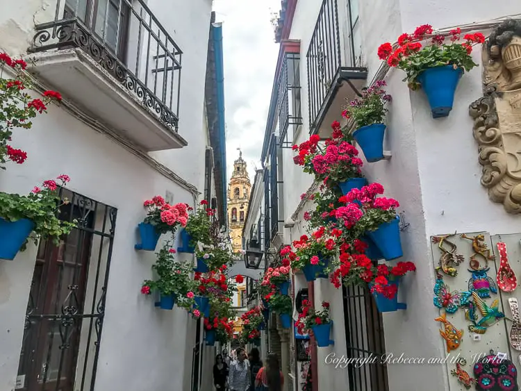 A narrow alley in Cordoba, Spain, lined with white buildings and vibrant blue flowerpots filled with red flowers, with a bell tower in the distance.