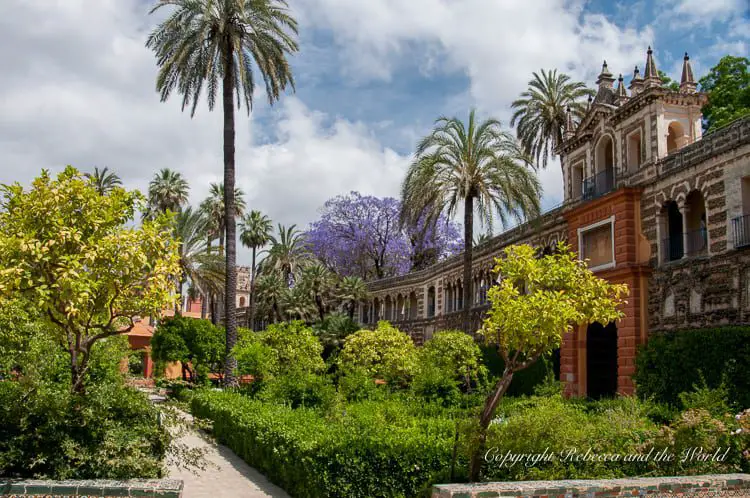 A lush garden with diverse vegetation, palm trees, and a historical building in the background, reflecting Seville's blend of nature and architecture. The Real Alcazar is one of the top Seville tourist attractions - you must add it to your Seville itinerary.