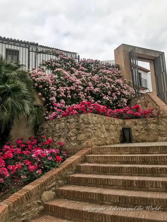 A staircase in Ronda adorned with vibrant pink and red flowers in full bloom, showcasing the natural beauty and charm of the town.