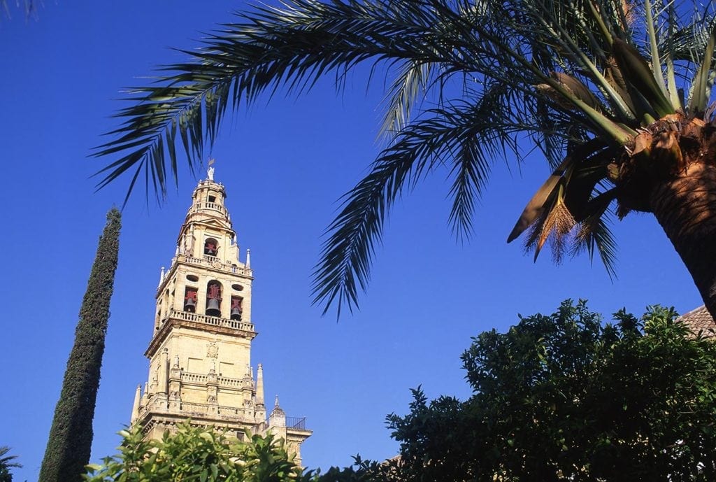The bell tower of the Mosque-Cathedral of Córdoba framed by palm leaves against a clear blue sky, showcasing the intricate architecture and the landmark's historical significance.