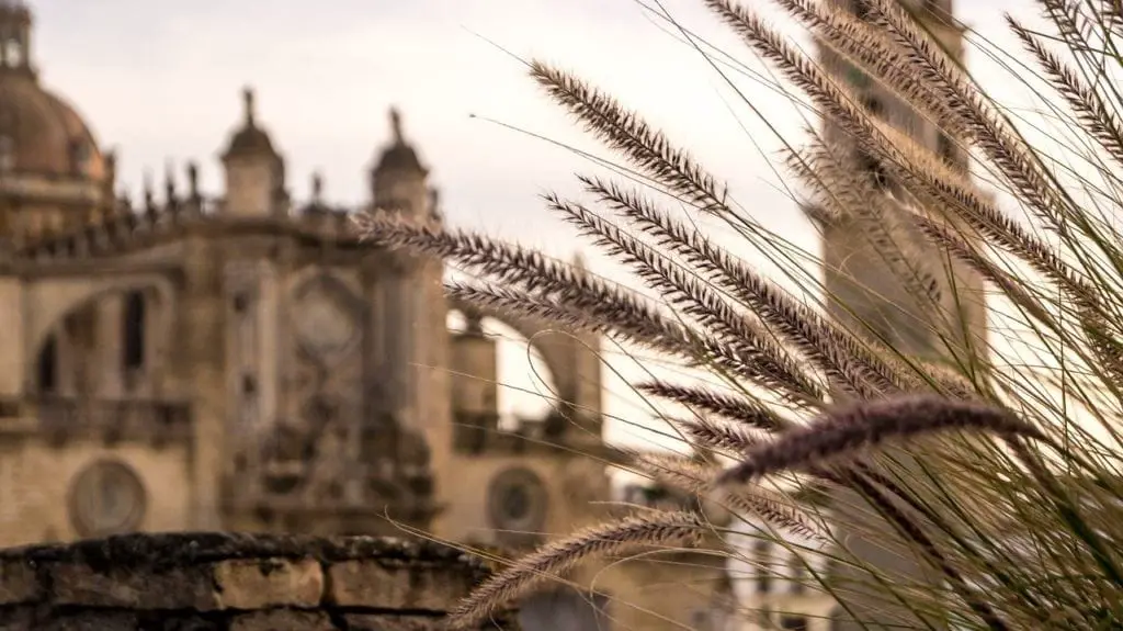 Blurred foreground of tall grass with the intricate facade of a grand building in Jerez de la Frontera in the background, under a soft-focus sky, giving an artistic perspective.