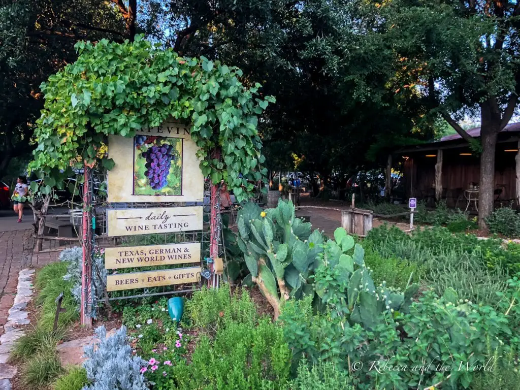 A sign covered in grapevines that reads "daily wine tasting," pointing to Texas, German, and New World wines, with a rustic setting in the background. Sip some Texas wine at the Grapevine bar in New Braunfels.