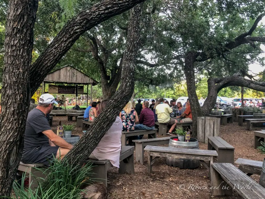 An outdoor area with wooden picnic benches under the shade of oak trees, where people gather and socialise. On Friday nights in Gruene you can listen to live music at The Grapevine.