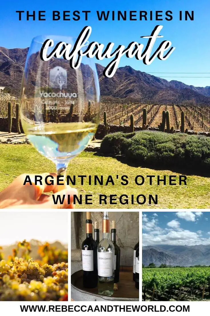 One of Argentina's best-kept secrets has to be the Cafayate wine region in Salta, north Argentina. Home of the delicious Torrontes wine, you can spend a few days exploring the best wineries in Cafayate by bike or car. | #argentina #cafayate #salta #northargentina #wine #argentinewine #argentinawineries #torrontes