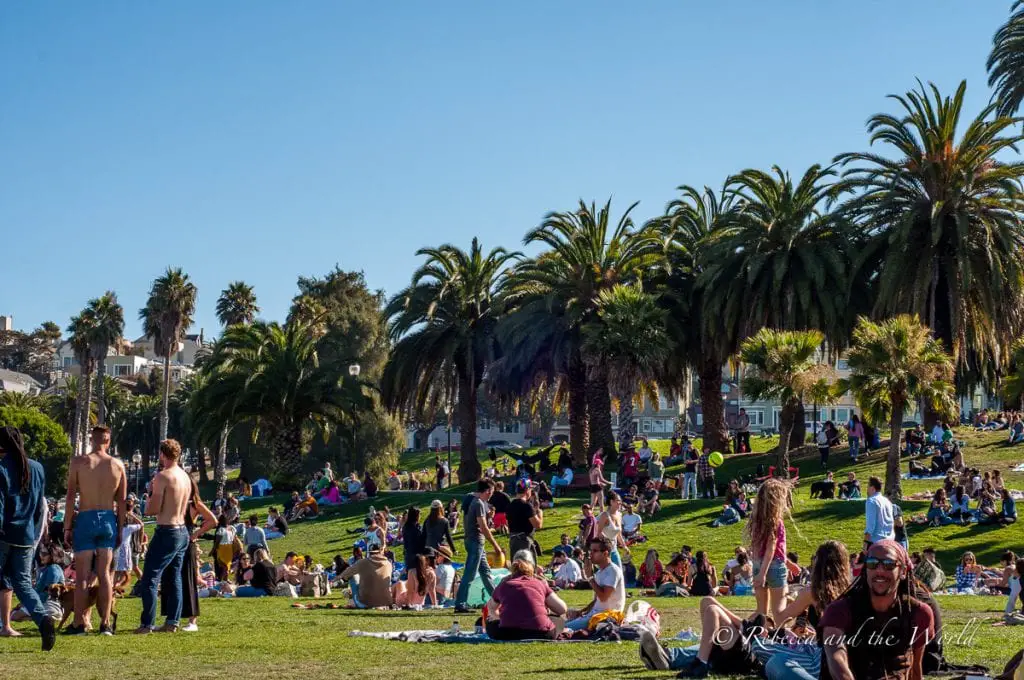 A lively park scene with numerous people lounging on the grass amongst tall palm trees, with the cityscape and blue sky in the background. Spend a sunny afternoon at Mission Dolores Park.