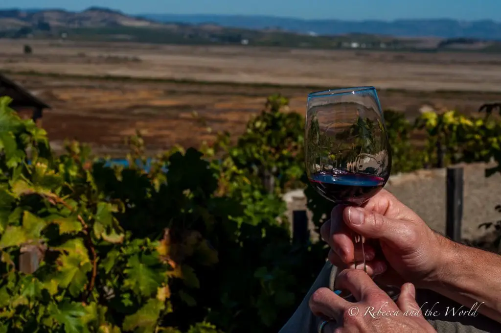 A hand holding a glass of red wine with a blurred vineyard background, showcasing the rolling hills of a wine region near San Francisco. There are plenty of wineries along the road to Sonoma, including Viansa.