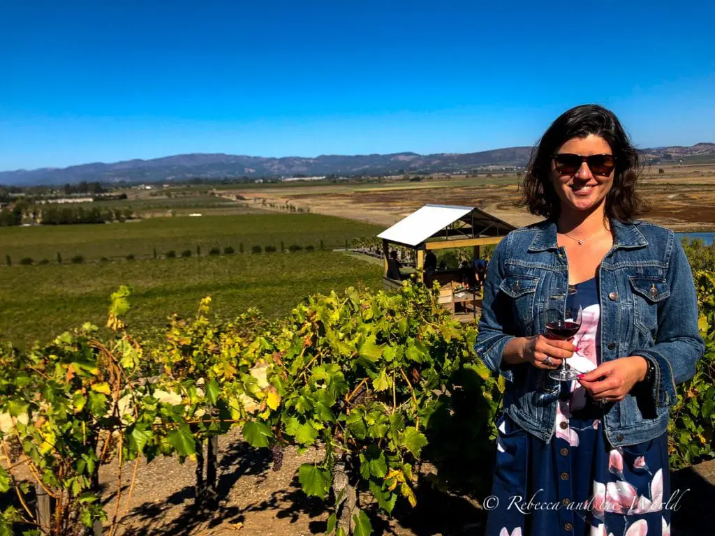 A woman - the author of this article - in sunglasses and a denim jacket holding a glass of wine, standing in a vineyard with expansive views of the countryside behind her. There are plenty of wineries along the road to Sonoma, including Viansa.