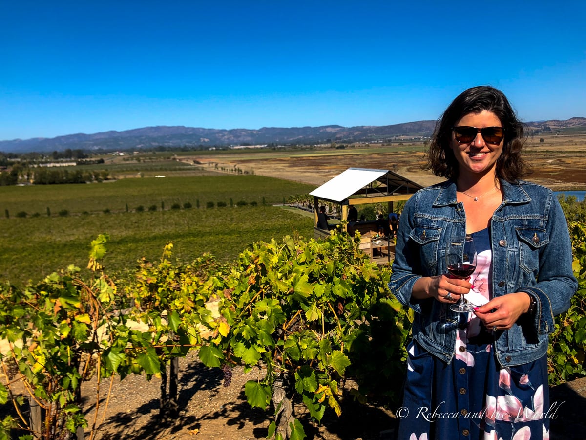 There are plenty of wineries along the road to Sonoma, including Viansa