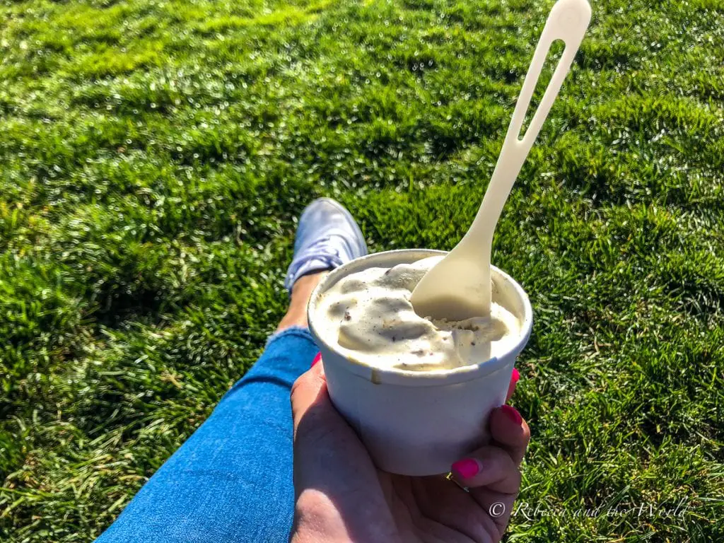 A cup of vanilla ice cream, slightly melted, held in a hand with brightly painted nails, with a park's green grass in the background. Try the ice cream at Bi-Rite Ice creamery in San Francisco's Mission District.
